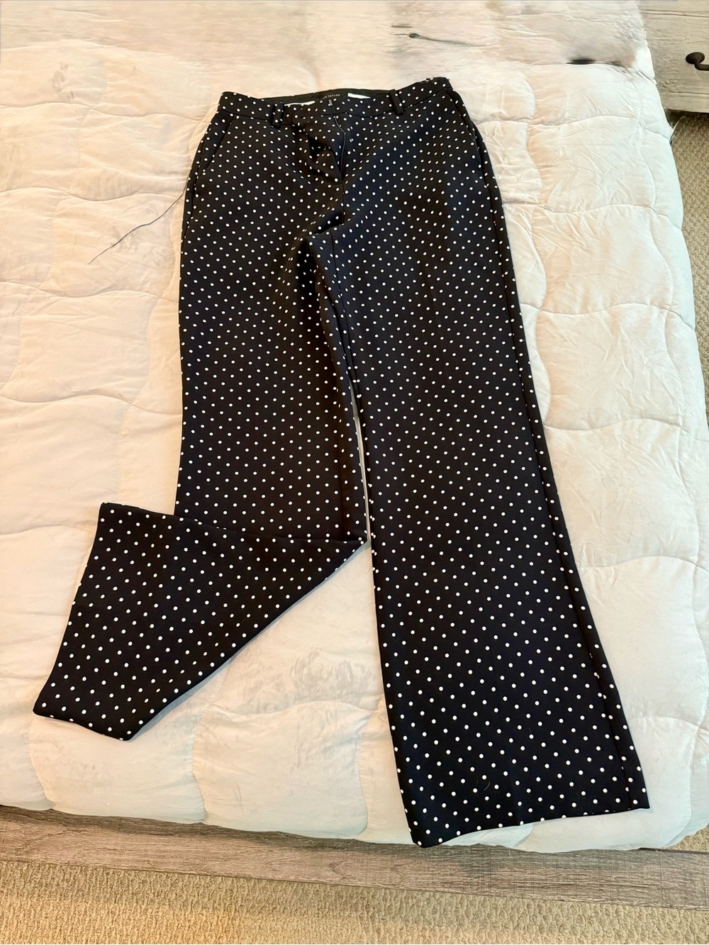 Black Polka Dot Men's Pants